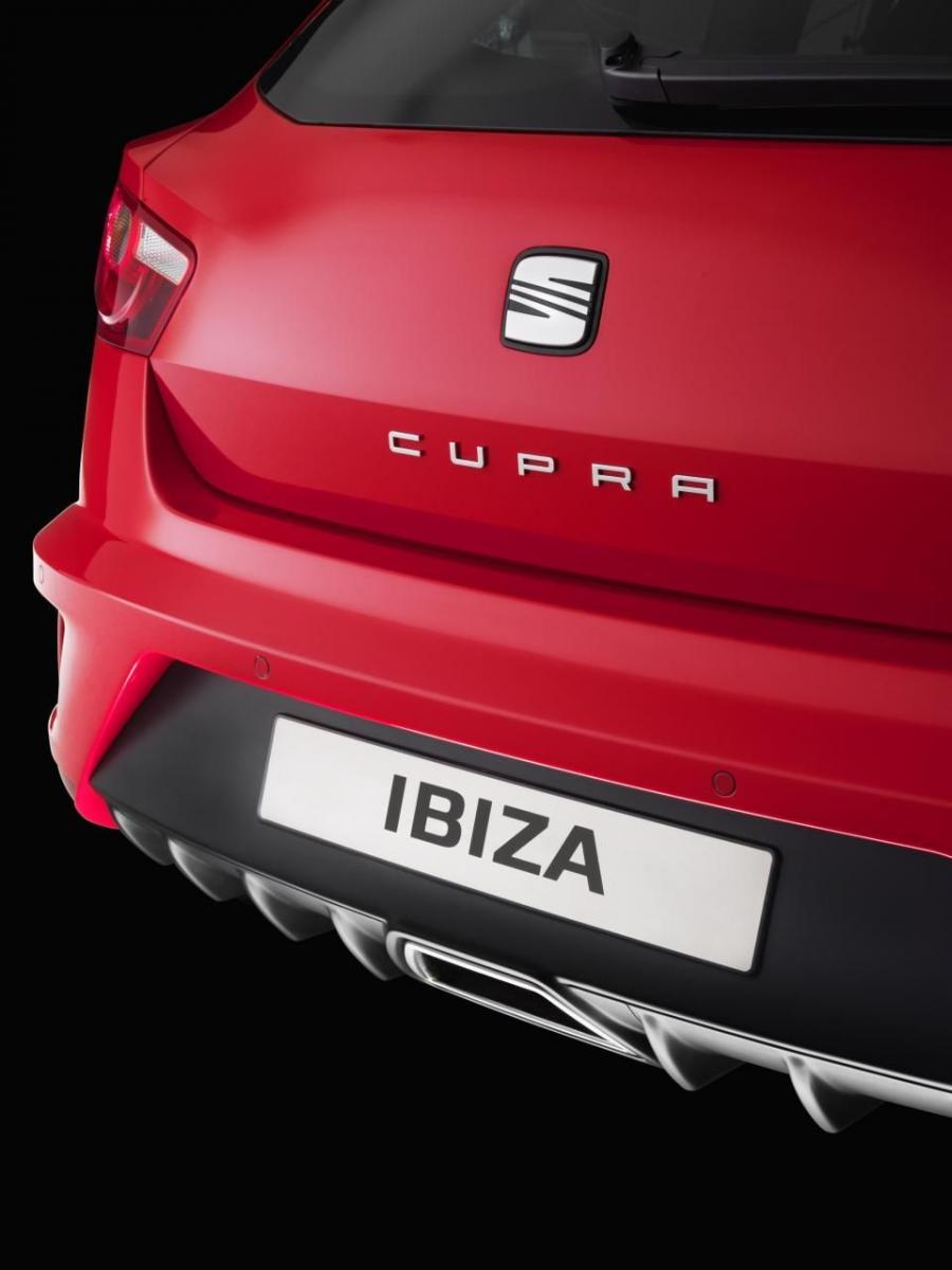  Seat Ibiza Cupra 2008 года  (фото 13 из 36)